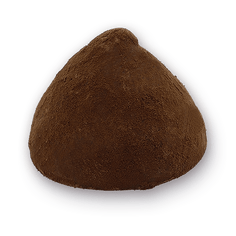 Truffe Noire trufa belgiana Leonidas ciocolata neagra intensa