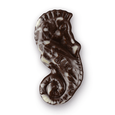 Fructe de mare ciocolata neagra pralina belgiana Leonidas