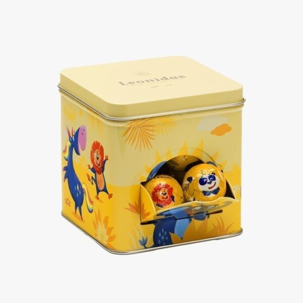 Metal Box Kids Fun
